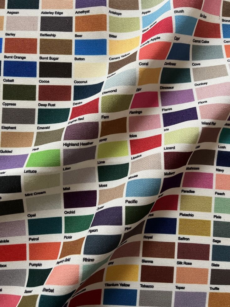 A physical color chart showing numerous fabric swatches with creative names like 'Beer'.