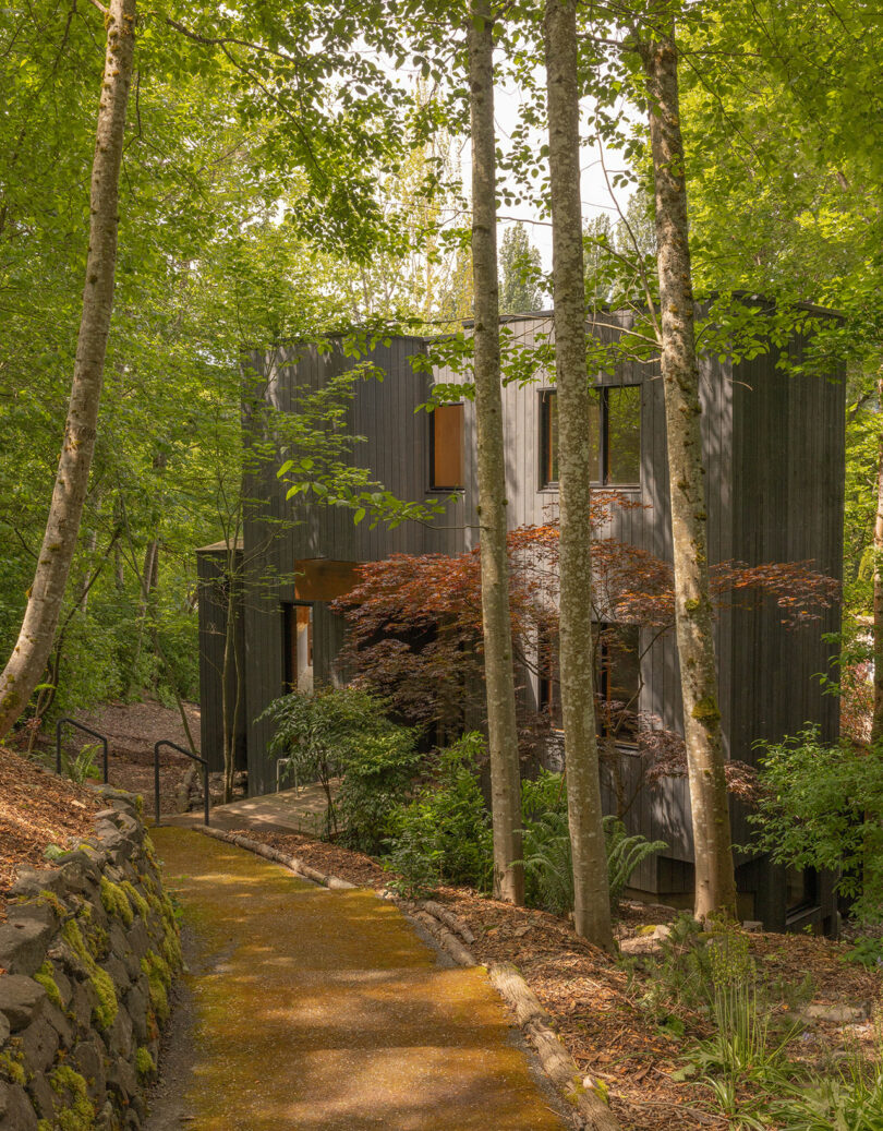 Exterior view of Alder House with dark wood siding and stone path surrounded by dense Pacific Northwest foliage.