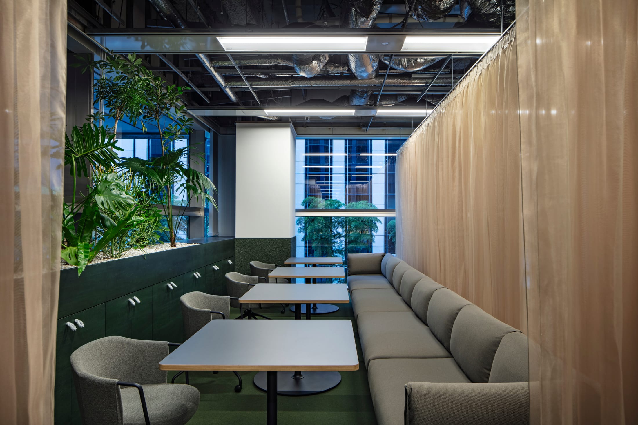 Interior office space filled with lush potted plants and bright, natural light.