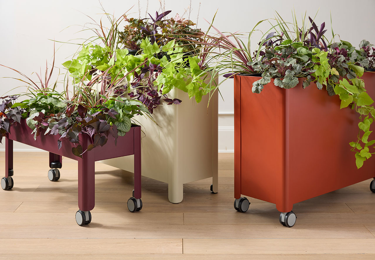 How Biophilic Workplaces Reduce Office Stress: The Plantable Solution