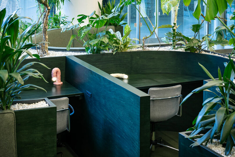 Modern office desks with worm-shaped lamps and green plant dividers.