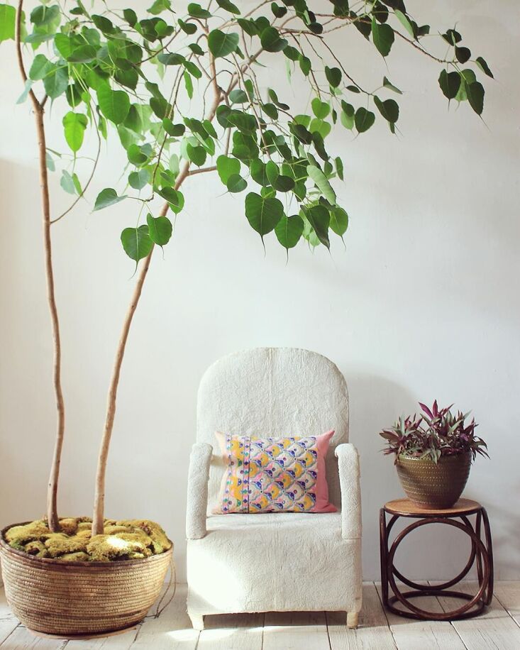 A cream and white beaded Yoruba chair in a brightly lit interior space.