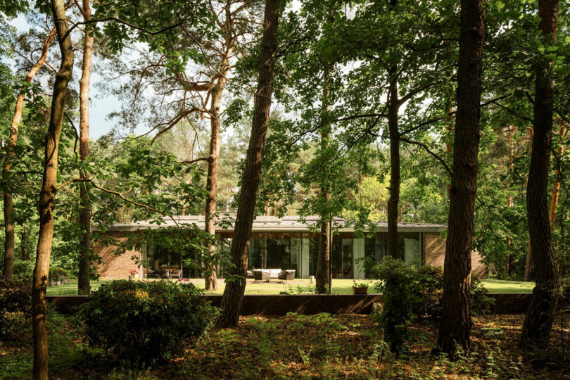 A minimalist single-story glass and stone house surrounded by a dense woodland.