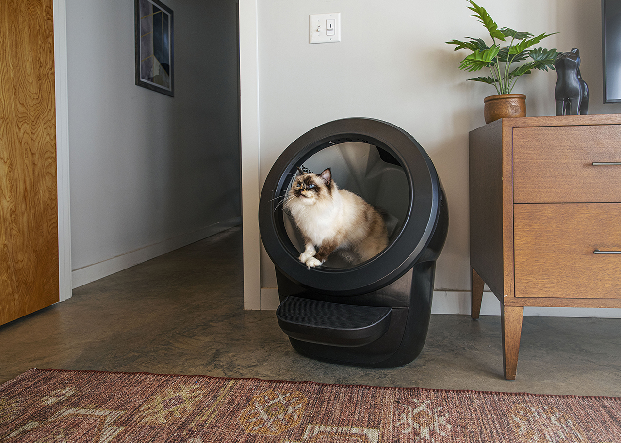 Litter-Robot 4 Review: The Secret to Odor-Free Living with OdorTrap™