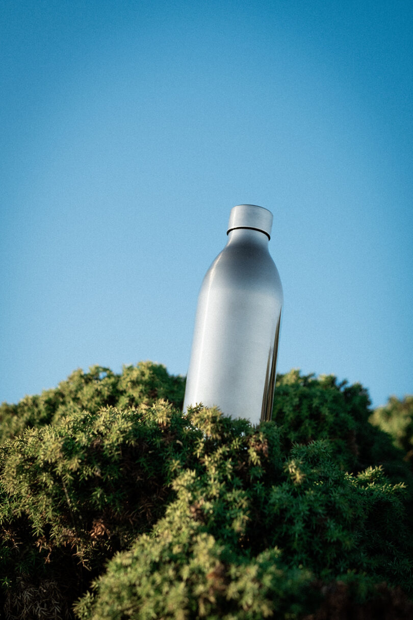 The Aarke To-Go Bottle standing upright amongst green leaves against a bright blue sky.