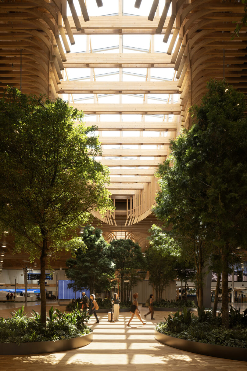 Lush green trees inside the terminal under a skylight and wooden lattice ceiling.