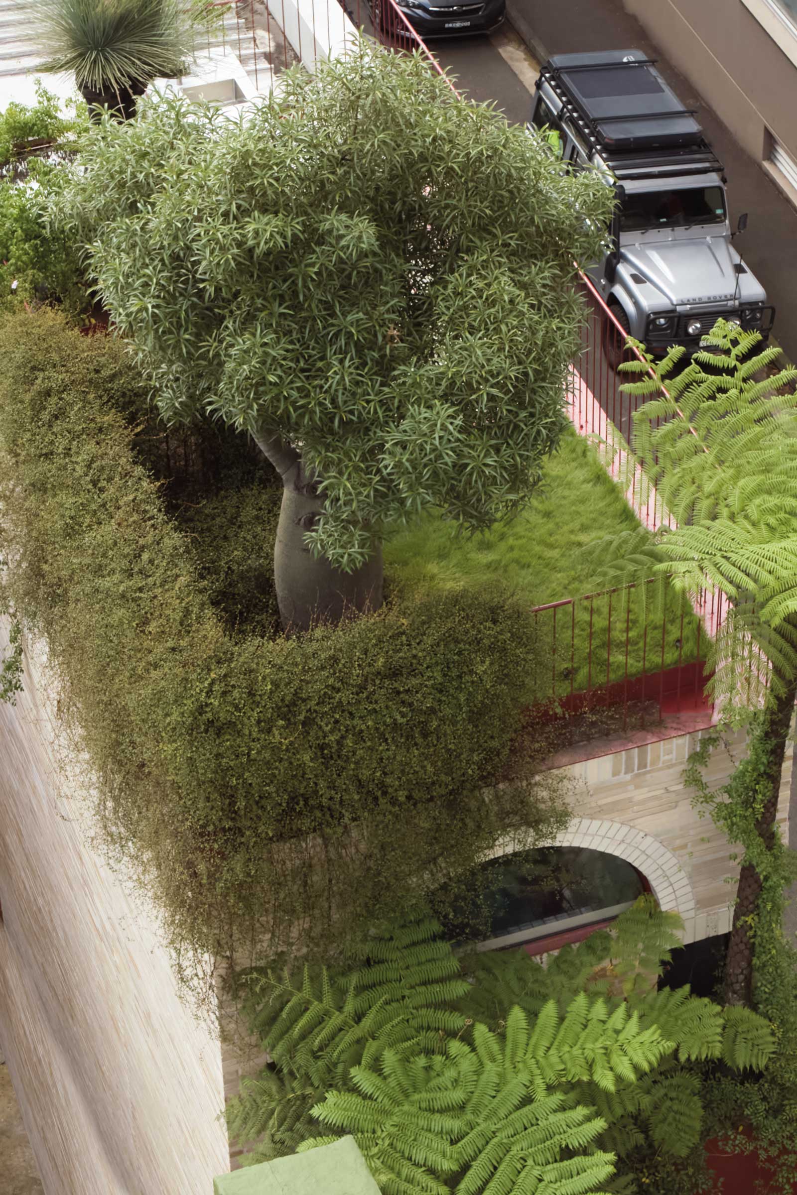 A narrow vertical garden courtyard with brickwork and climbing plants.