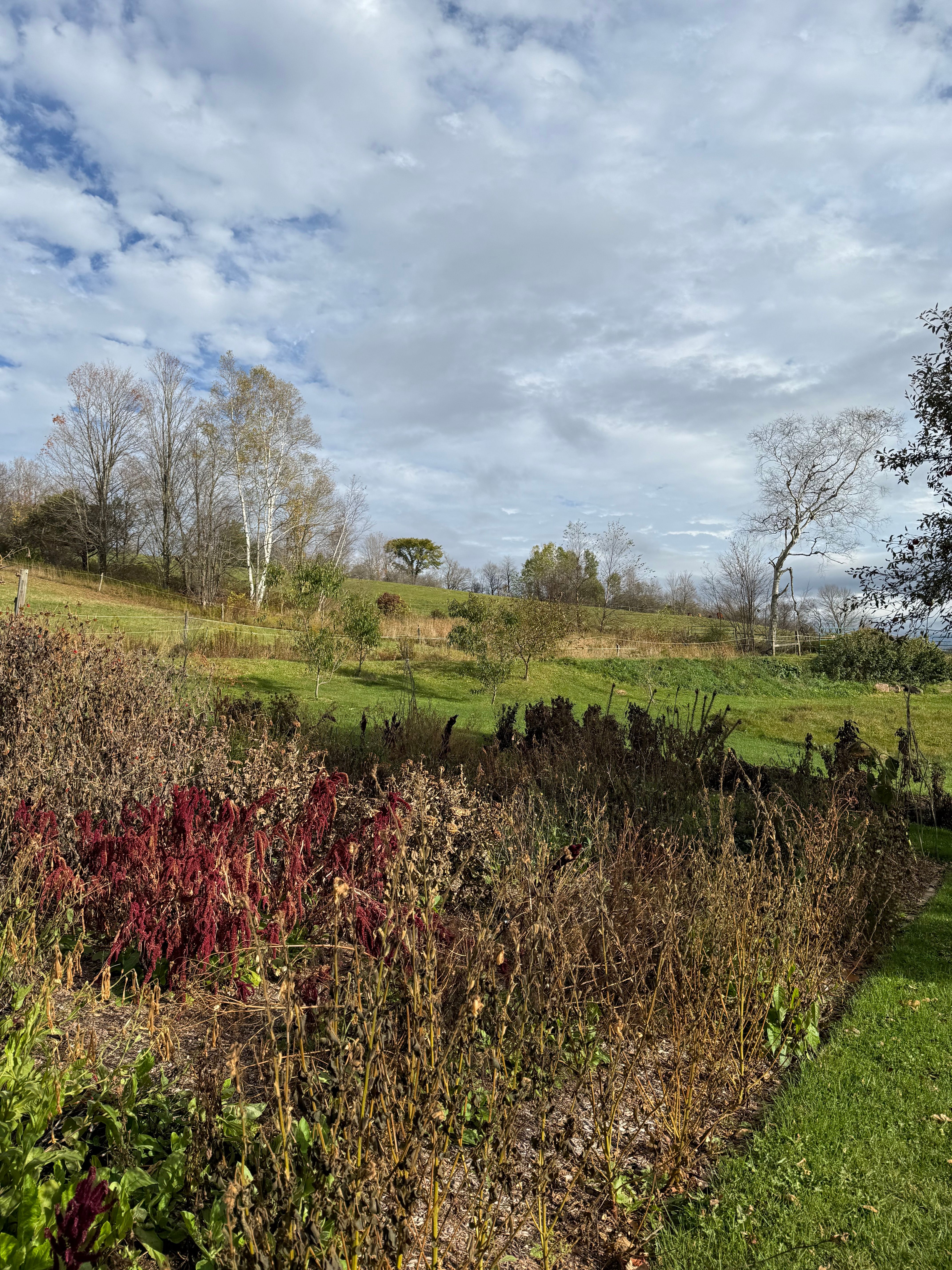 The First Frost: A Complete Guide to Winterizing Your Home Sanctuary and Garden