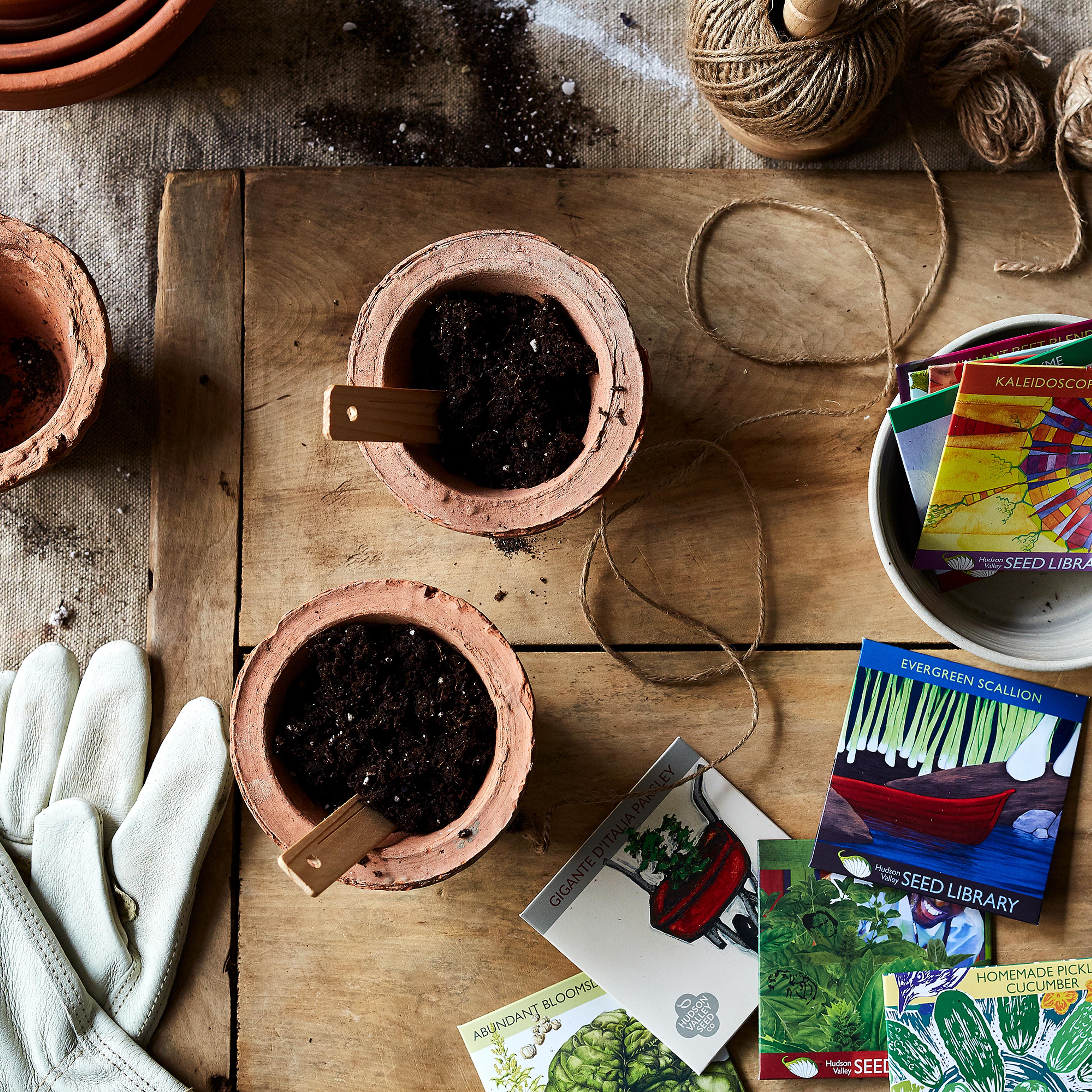 Small terracotta pots filled with soil next to various seed packets on a wooden table.