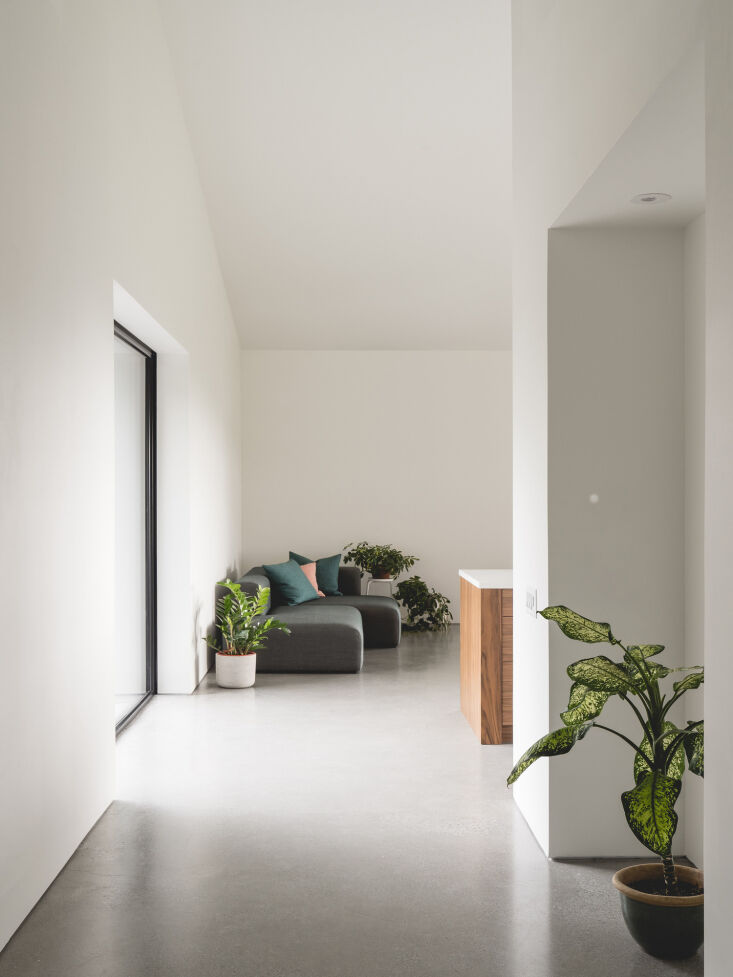 Polished and sanded concrete floors reflecting the natural light from the large windows.