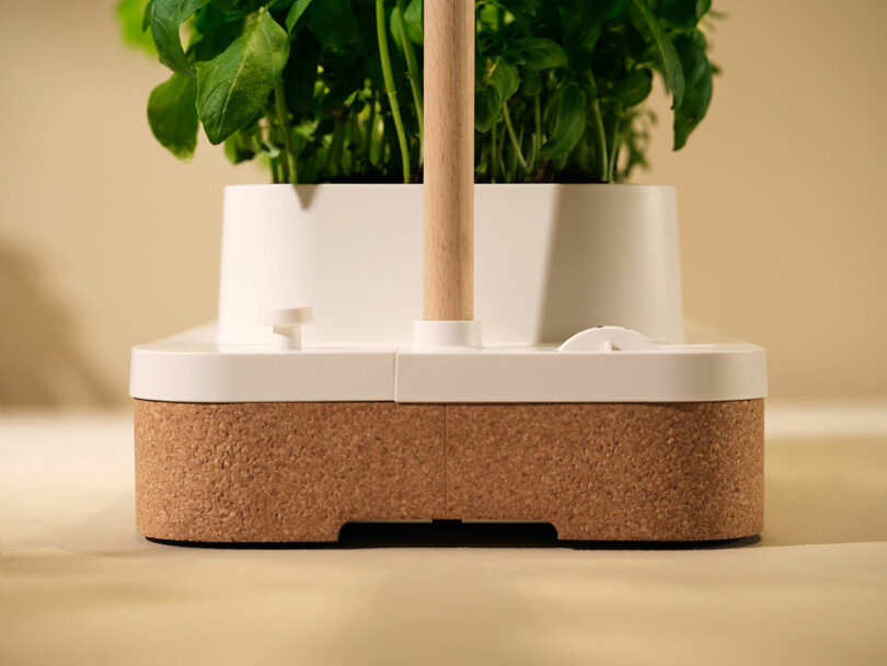 Close-up of the Auk Mini's cork base and aluminum support pole.