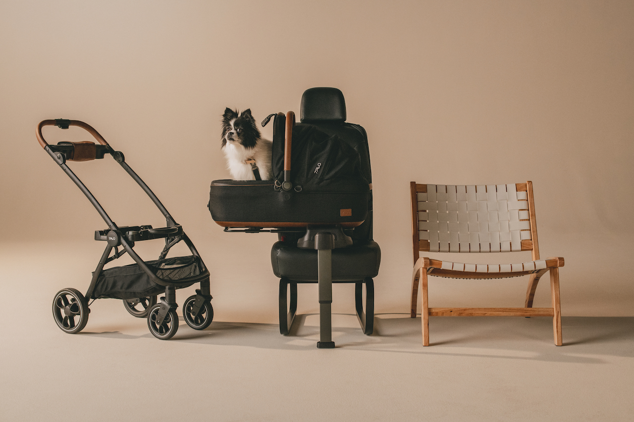 Tavo Maeve Review: Redefining Pet Travel Safety Standards in 2024