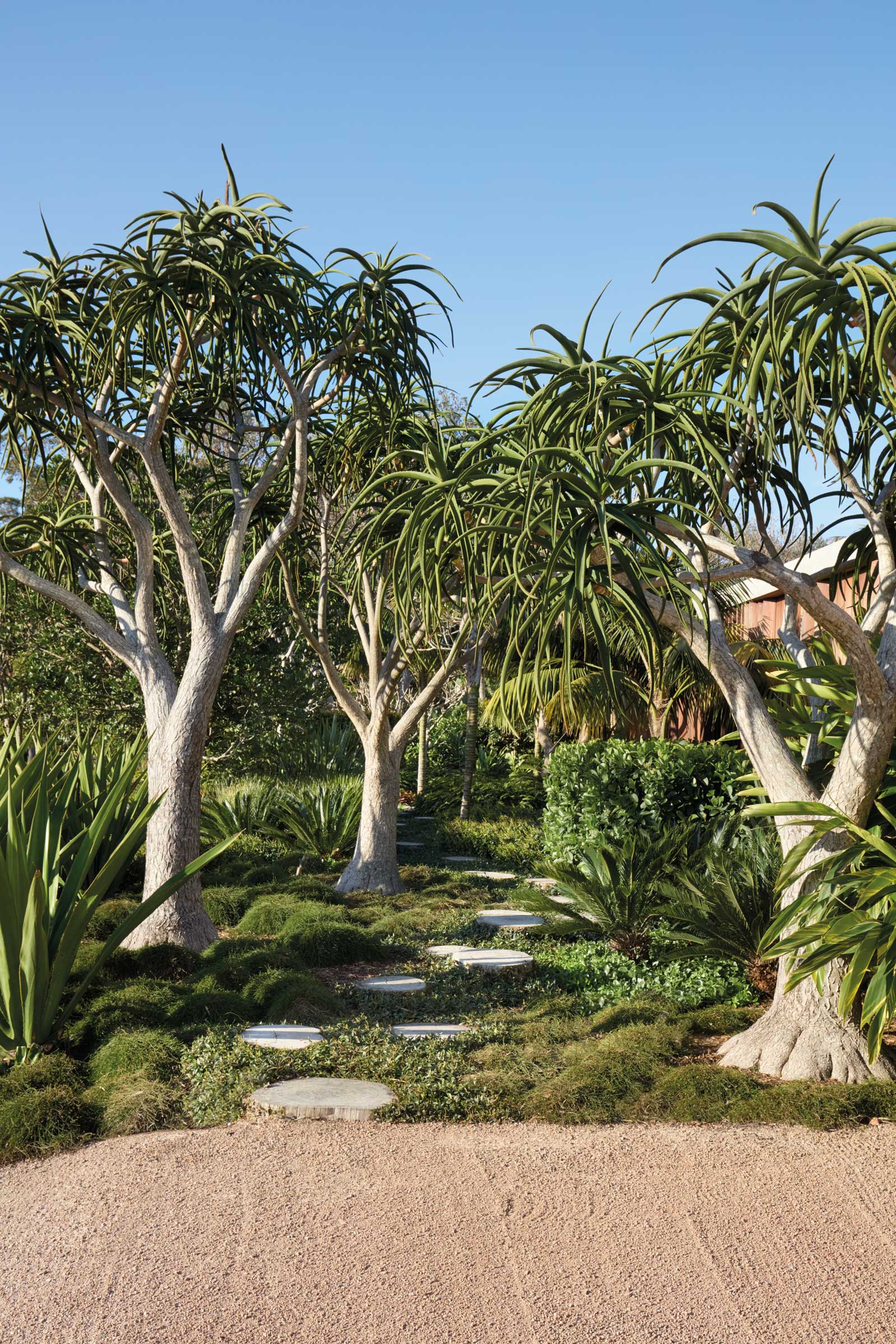 A large residential outdoor area with a pool and expansive lawn in Mollymook.