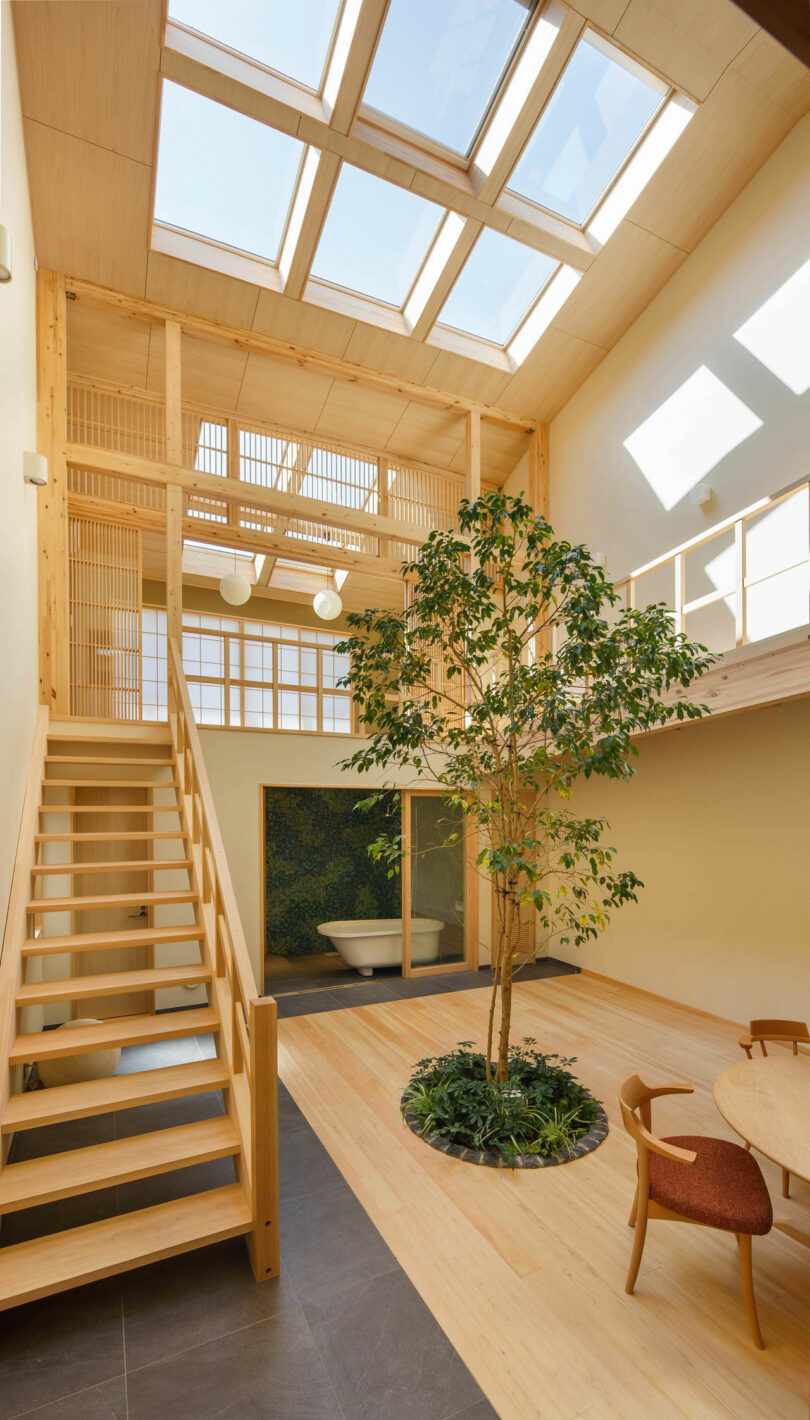 Modern home living space with warm wood walls and a central tree integration.