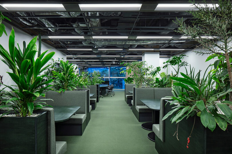 Modern office with green booth seating and lush indoor plants lining the walkway.