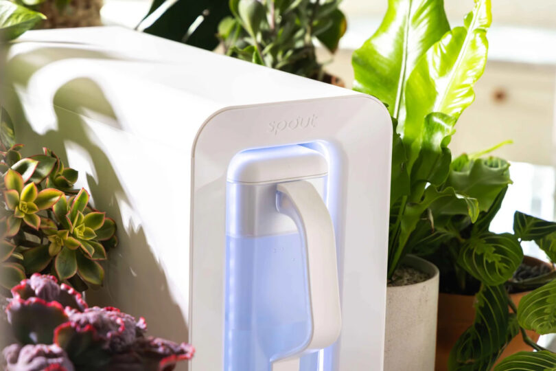 A white Spout countertop water system with a glowing blue light surrounded by greenery.