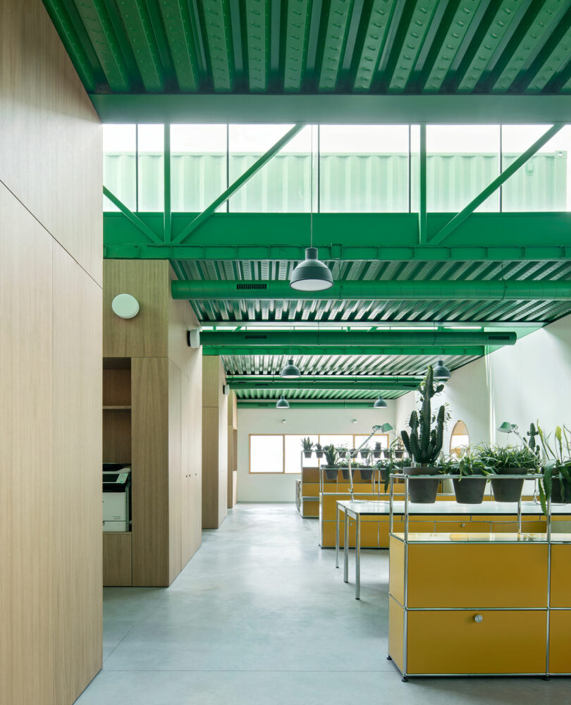 Modern office interior with green metal ceilings, wood paneling, and yellow storage units flooded with natural light.