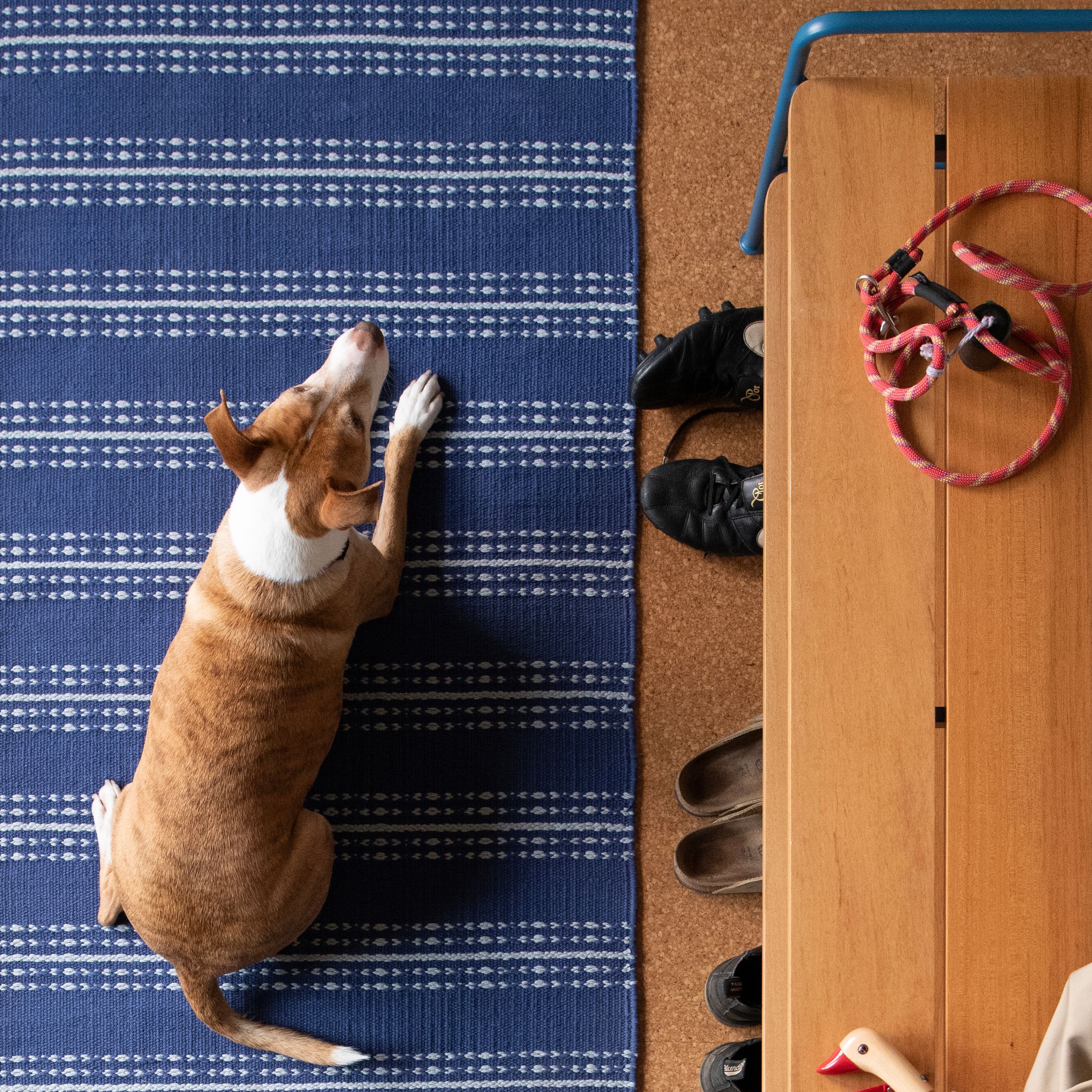 Why 100% Cotton Rugs are the Best Material for High-Traffic Homes: Washable & Durable