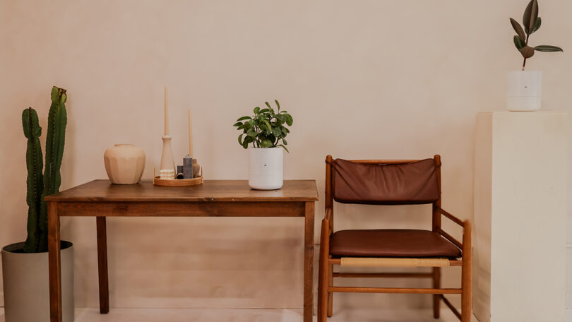 A minimalist living room featuring wooden furniture and several healthy potted plants.