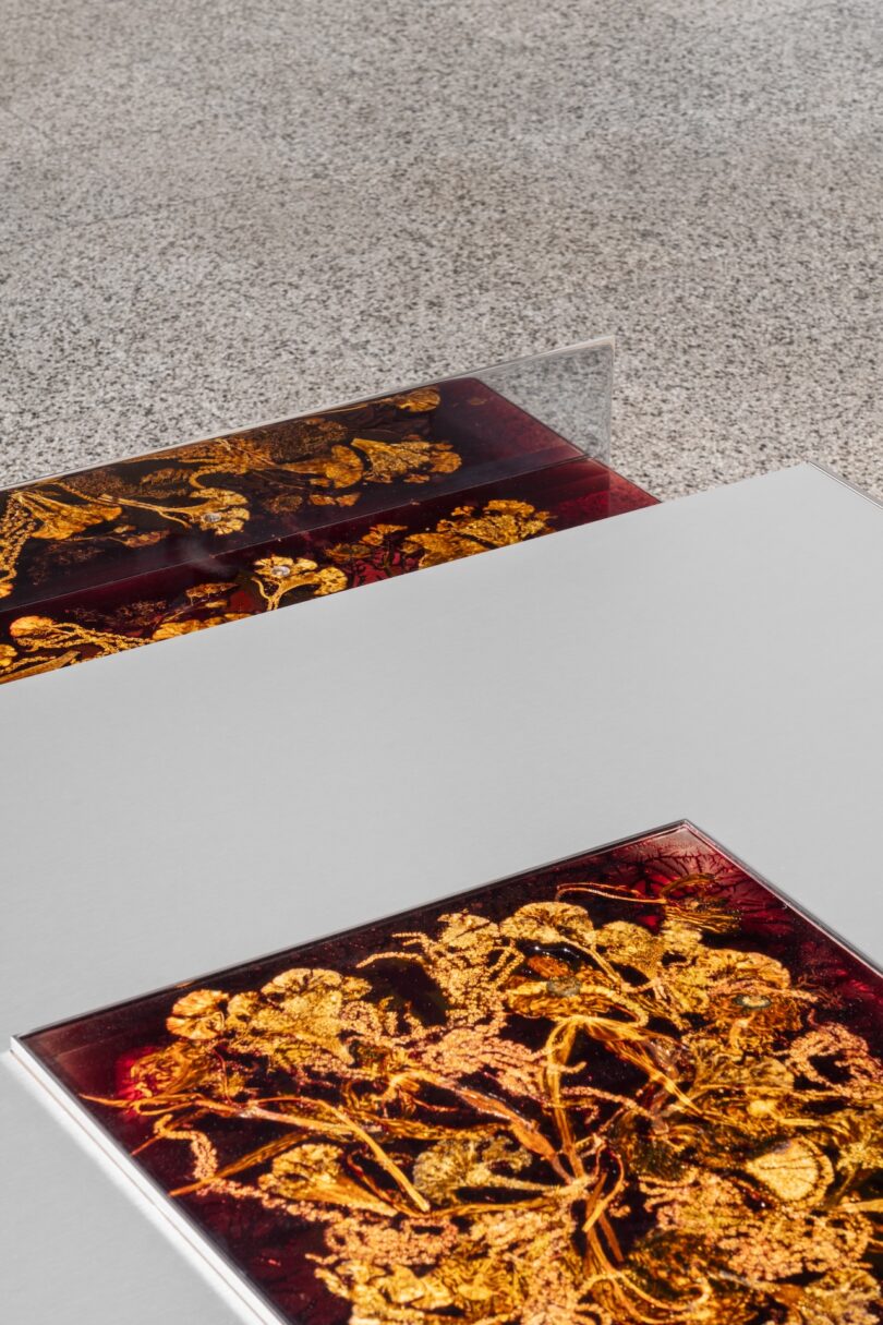 A framed piece of herbarium art featuring intricate golden floral motifs against a rich terracotta-colored background.
