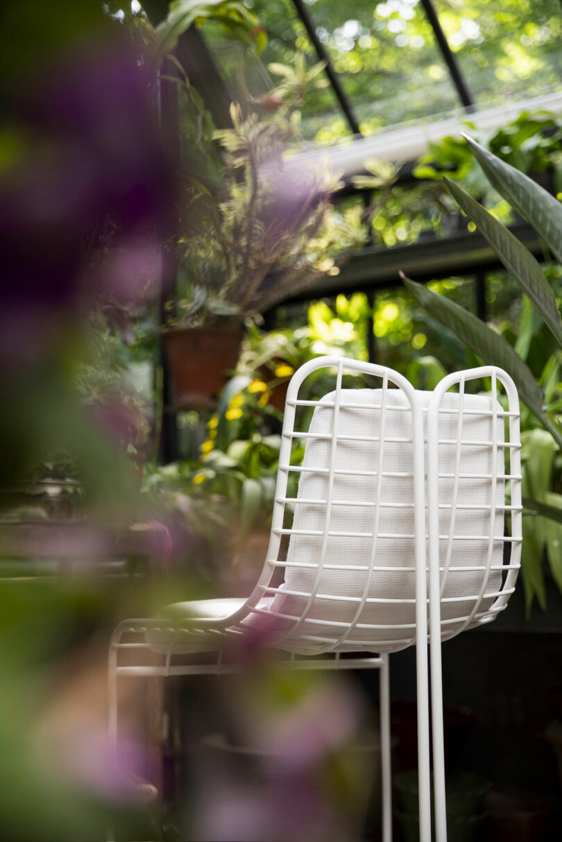 Detail shot of a white metal grid-design chair in a sunlit greenhouse setting.