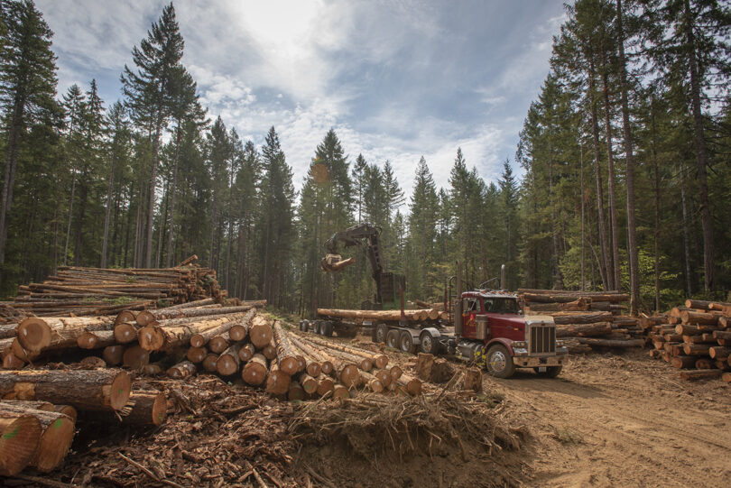 Logs being loaded onto a truck in a Pacific Northwest forest.
