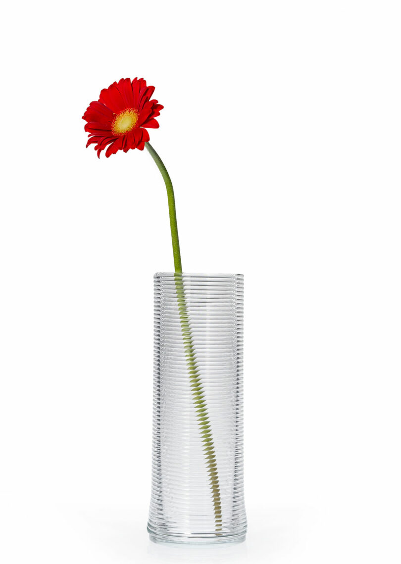 A single red gerbera daisy in a tall, transparent 3D printed glass vase with ribbed textures.