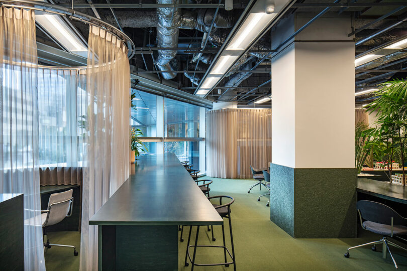 Large open office space with green carpeting, long dark tables, and sheer beige curtains.
