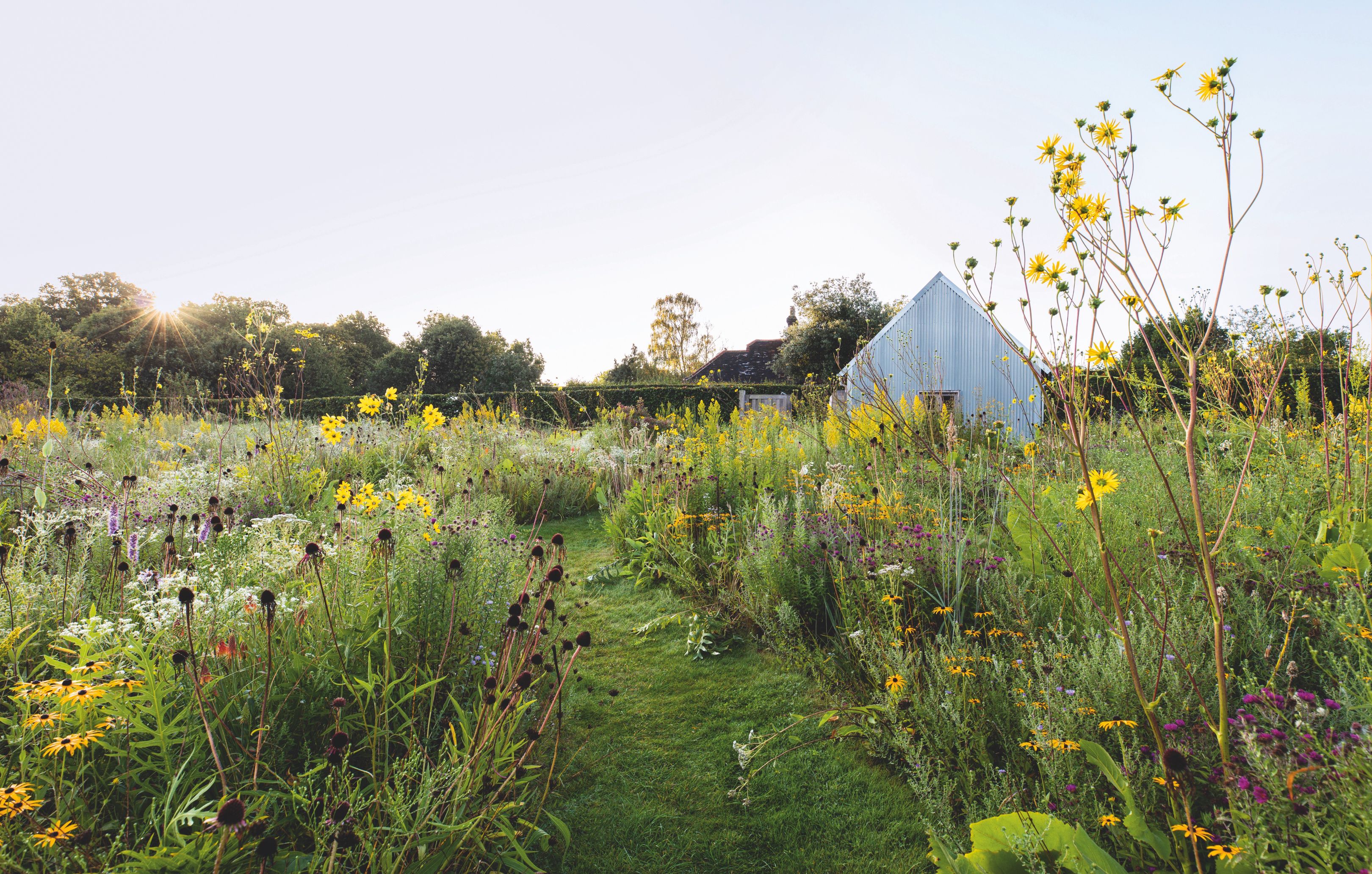 6 Inspiring Ways to Create a Naturalistic Wild Garden: 2026 Design Trends