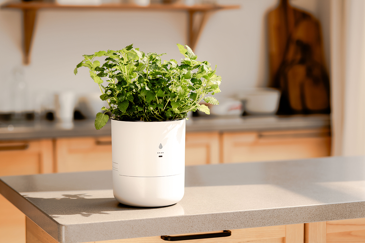 LeafyPod Review: Can This AI-Powered Smart Planter Really Save Your Plants?
