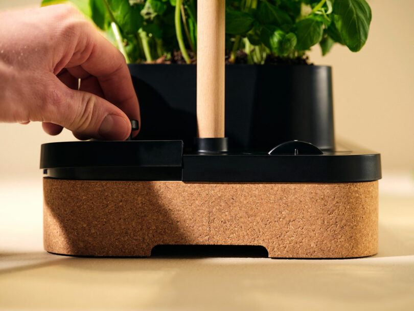 A hand adjusting the settings knob on the cork base of a black Auk Mini.