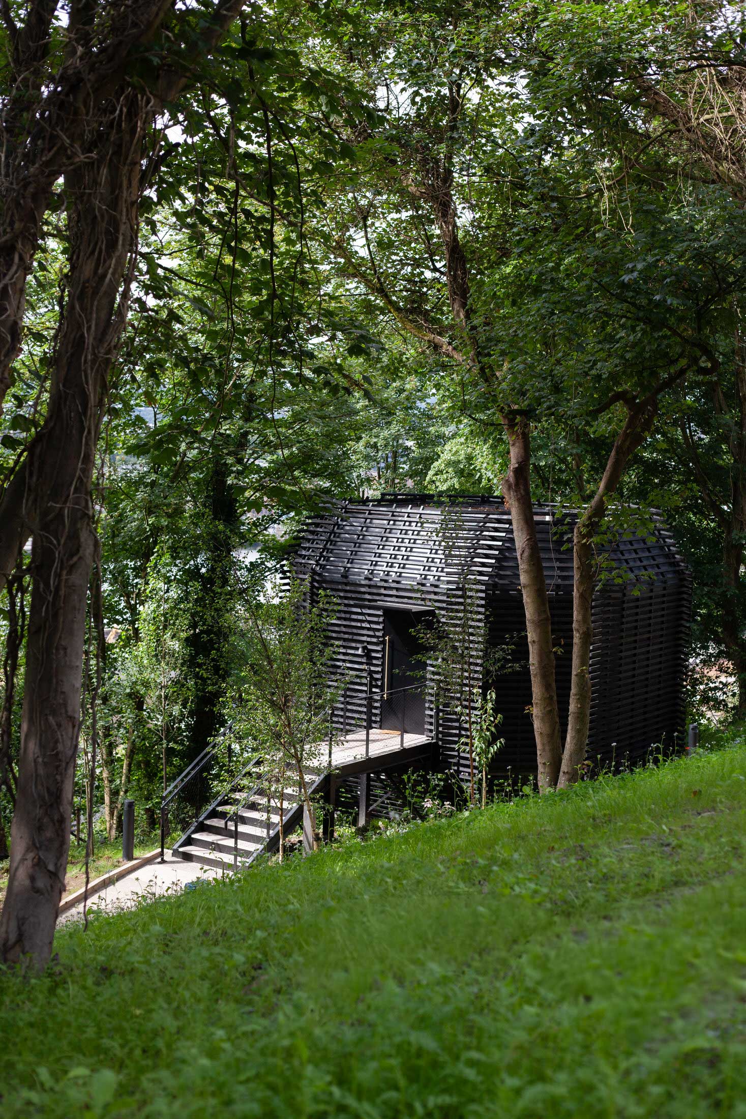 Exterior view of the Woodland Suites showing the preservation of the natural forest undergrowth.
