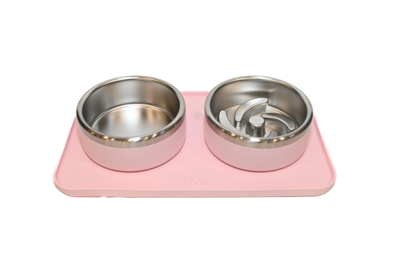 Two stainless steel pet bowls on a pink non-slip mat, one featuring a slow-feeder design.