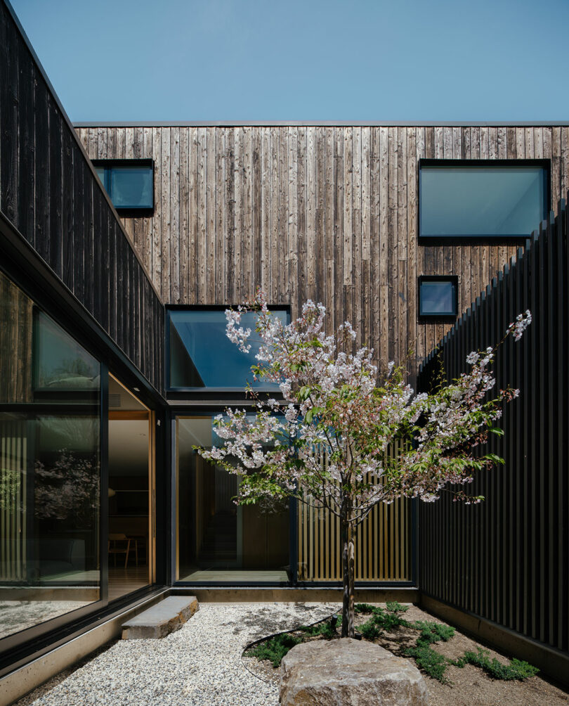 A modern wooden house with a central courtyard featuring a blossoming tree and gravel landscaping.