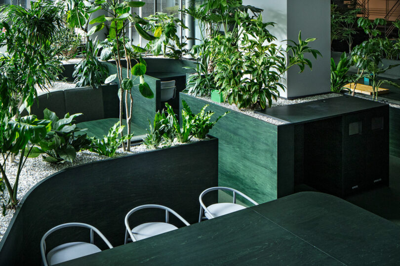 Lush indoor plants in raised planters surrounding white chairs and dark green tables.
