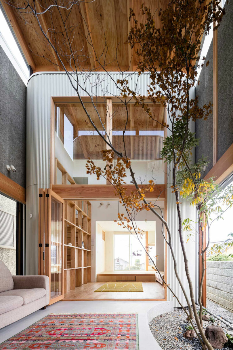 A Japanese-style modern interior with a tall tree reaching through a double-height void and seating area.