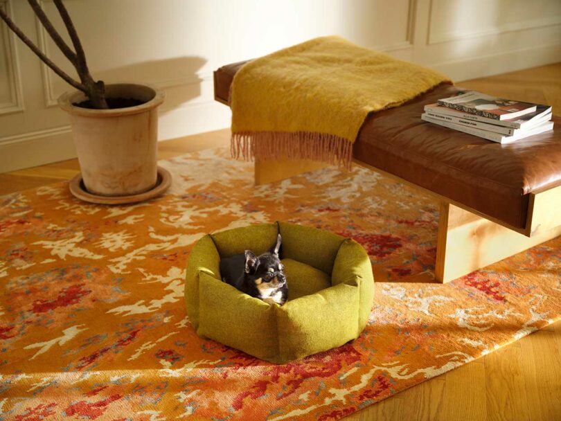 A small dog resting comfortably inside a circular gray Luoto dog bed.