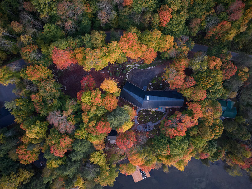 Aerial view of a dark-roofed cottage surrounded by vibrant autumn trees on the edge of a Muskoka lake.