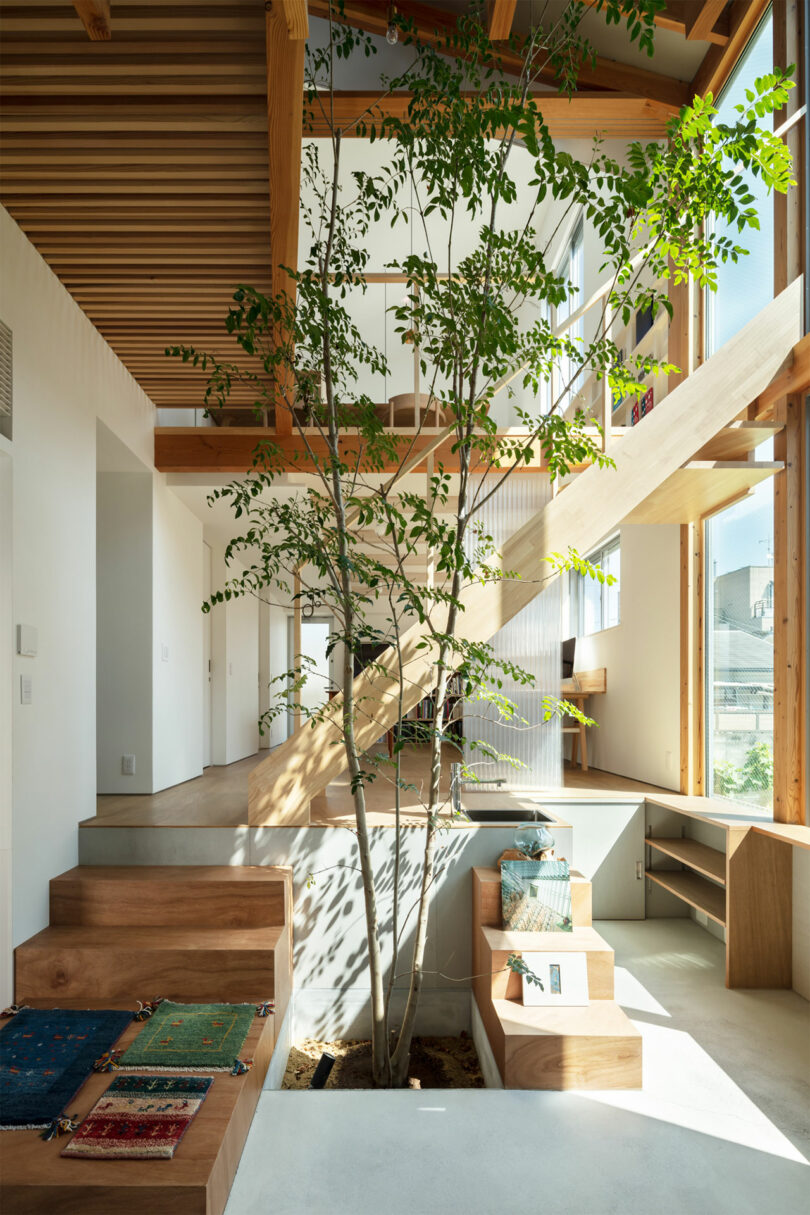 A Japanese-style double-height living room with minimalist furniture and a central indoor tree.
