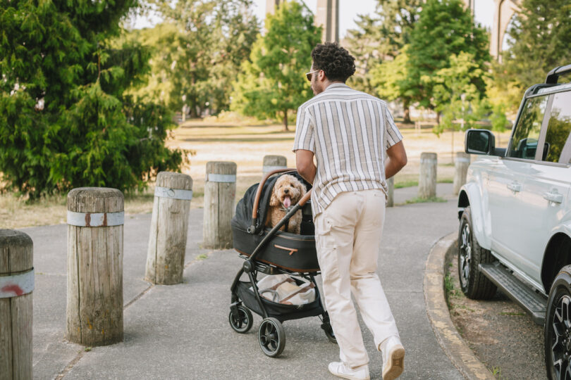 A man pushing the Tavo pet stroller on an outdoor path.