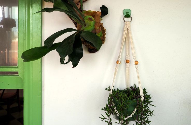 A white adhesive hook mounted on a wall holding a small hanging plant in a woven basket.