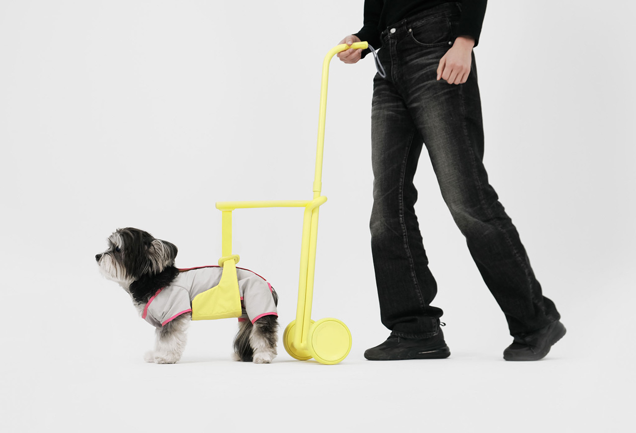 Steady Mobility Aid: How Innovative Seatbelt Tech Empowers Aging Dogs