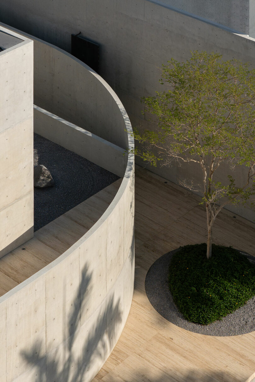 A minimalist concrete building with curved walls and a Zen-style gravel garden with a single tree.