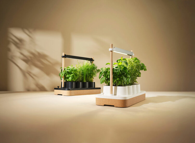 Two Auk Mini indoor herb gardens side-by-side in black and white versions.