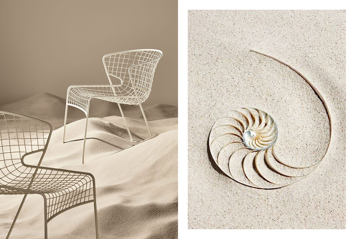 Why These Latticed Chairs are a Masterclass in Organic Design: The Ross Didier Nautiloid Collection