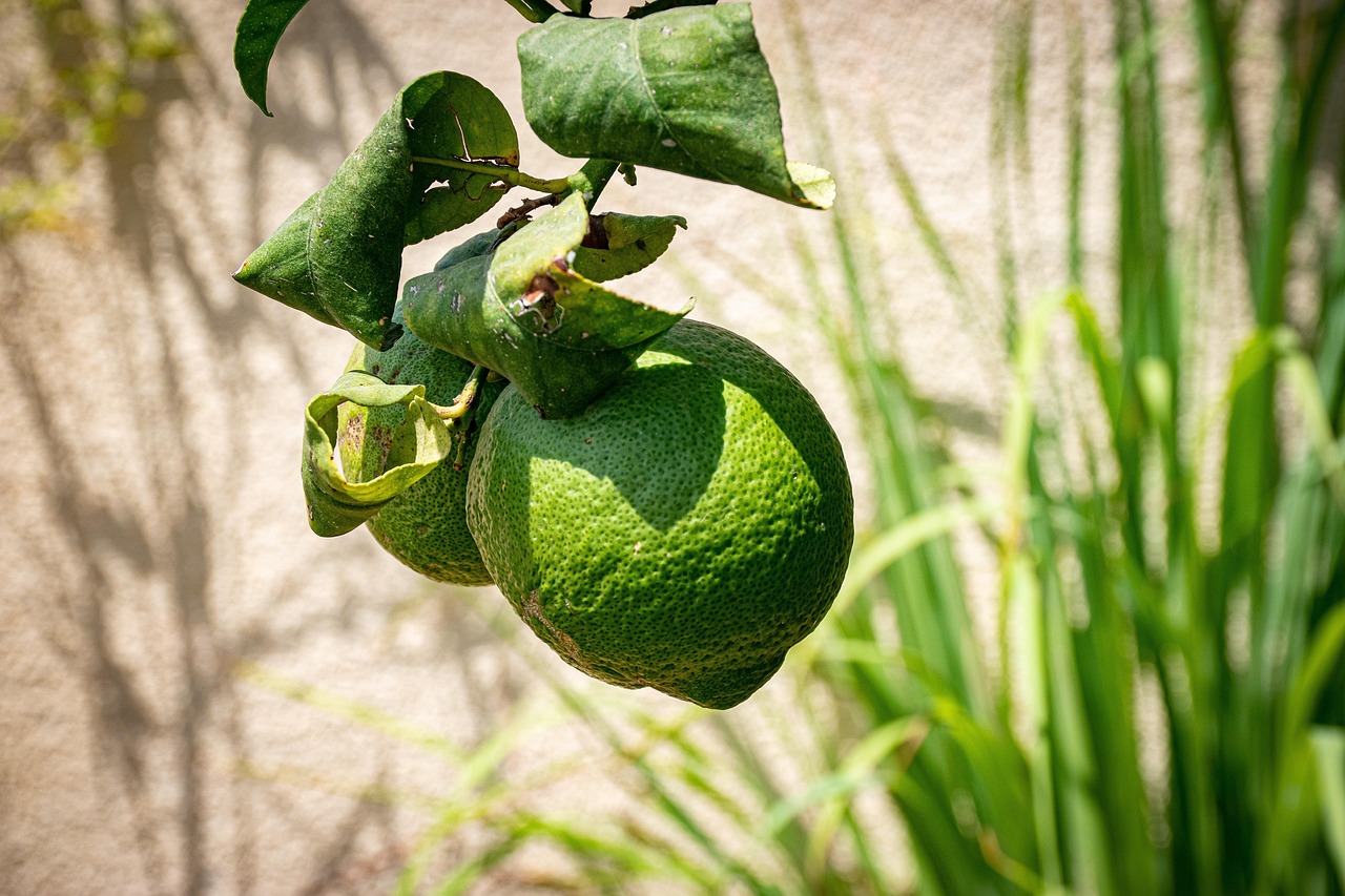 7 Best Dansk Teak Tableware Sets: Timeless Jens Quistgaard Designs for Mid-Century Enthusiasts