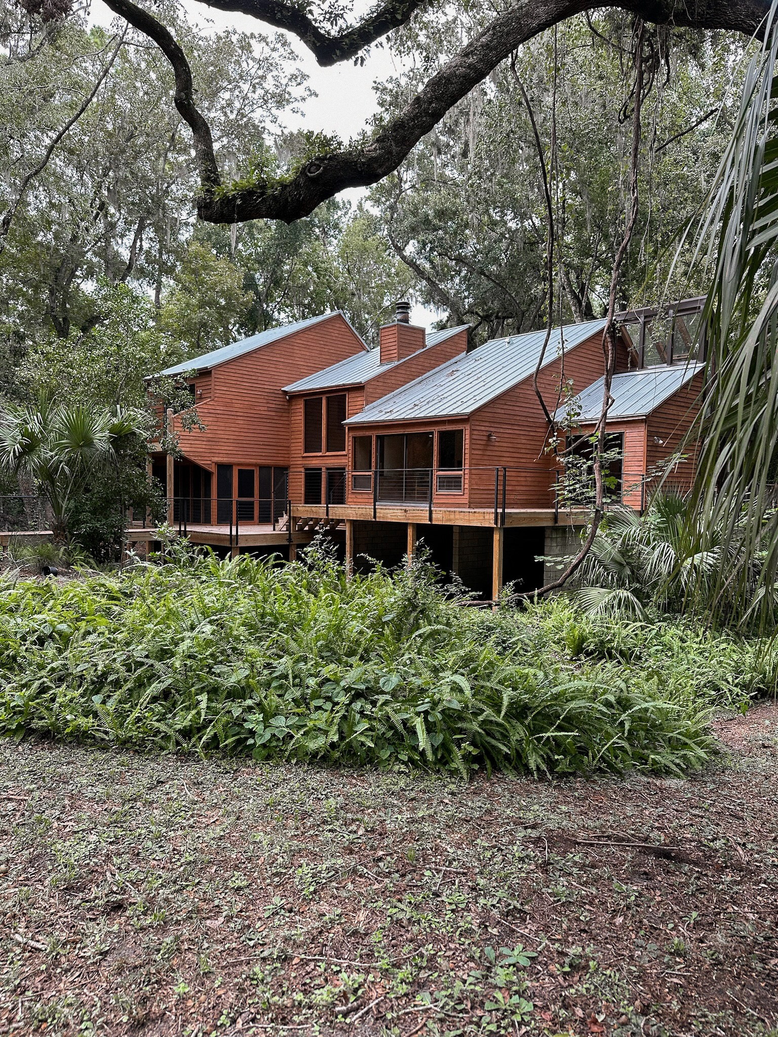 A wooden deck overlooking a lush, wooded yard with dense tree cover.
