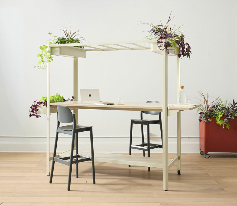 A close-up of a sunlit desk with a laptop, notebook, and several small potted plants integrated into the workspace.