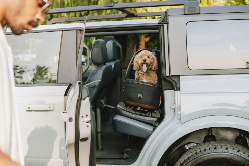 A small dog sitting comfortably inside the Tavo Maeve carrier secured in a vehicle.