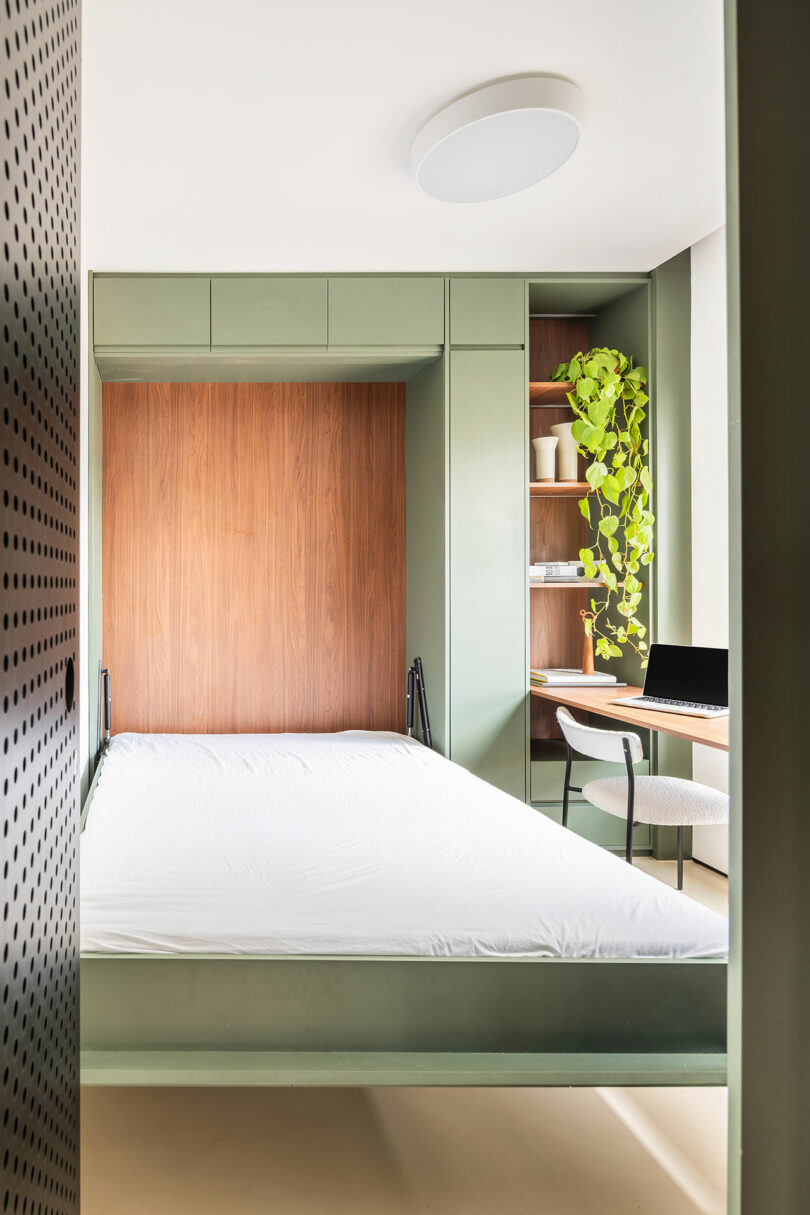 Home office featuring a green Murphy bed, built-in wooden desk, and trailing plants on shelves.